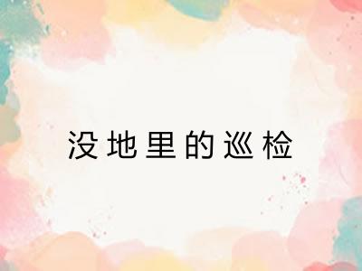 没地里的巡检
