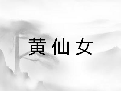 黄仙女