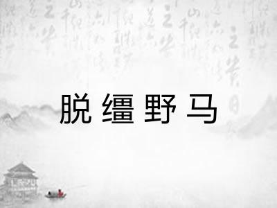 脱缰野马 脱缰野马