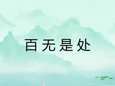 百无是处