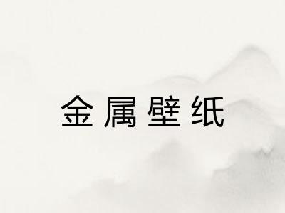 金属壁纸