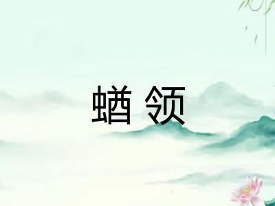 蝤领 蝤领
