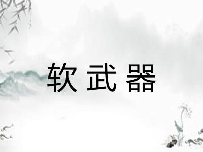 软武器