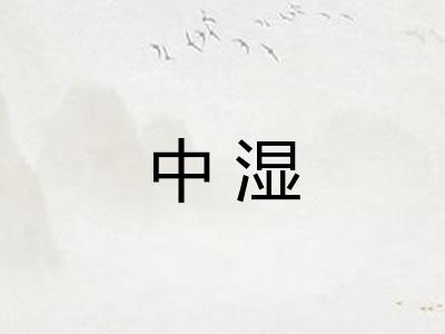 中湿