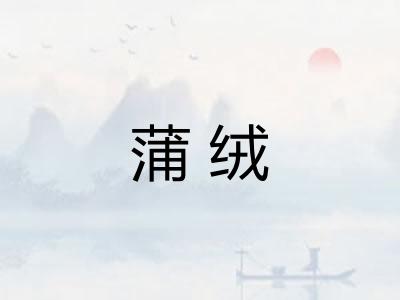 蒲绒
