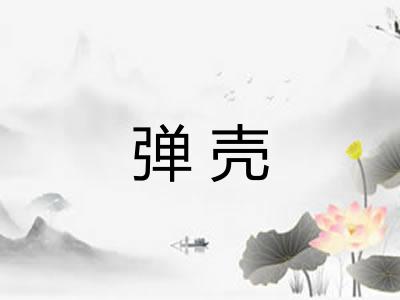 弹壳