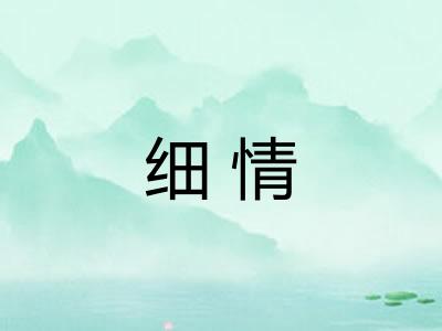 细情