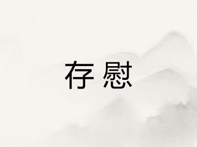 存慰