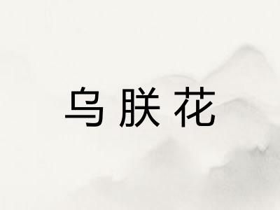 乌朕花