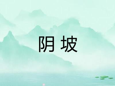 阴坡 阴坡
