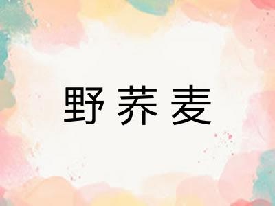野荞麦 野荞麦