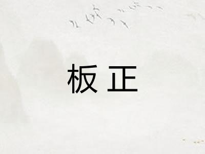 板正