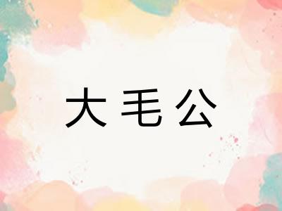 大毛公