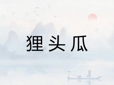 狸头瓜 狸头瓜