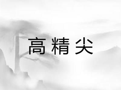 高精尖
