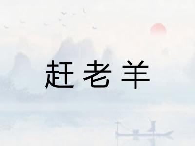 赶老羊