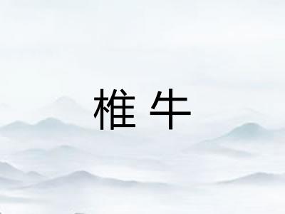 椎牛