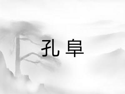 孔阜