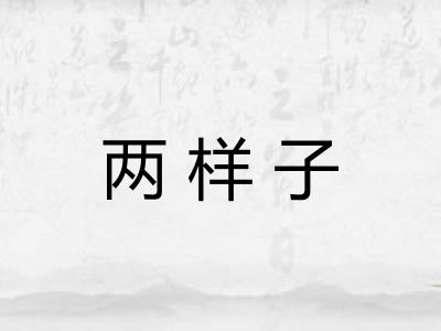 两样子