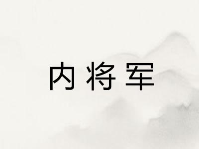 内将军