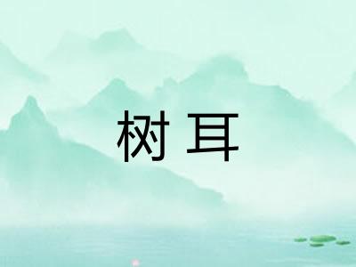 树耳
