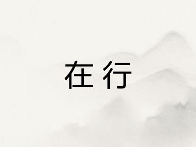 在行