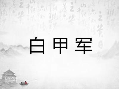 白甲军