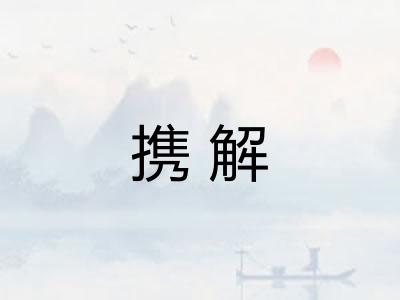 携解