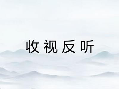 收视反听
