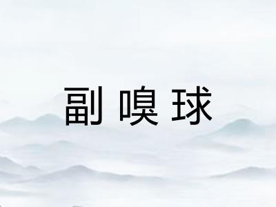 副嗅球