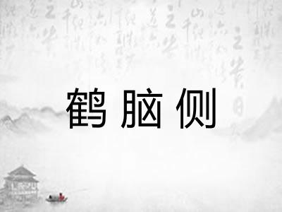 鹤脑侧