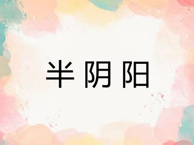 半阴阳