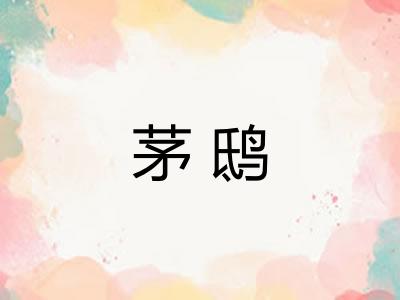 茅鸱