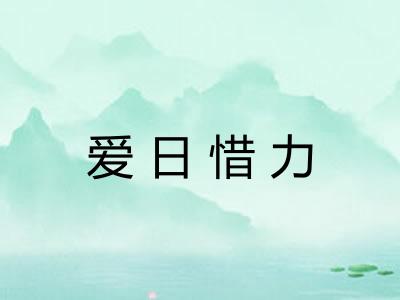 爱日惜力