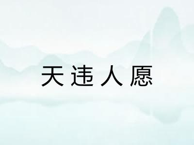 天违人愿