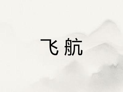 飞航