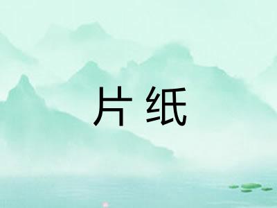 片纸