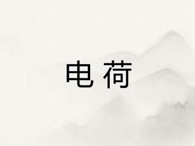 电荷