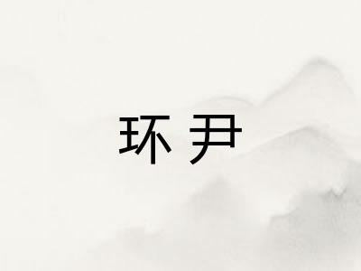 环尹