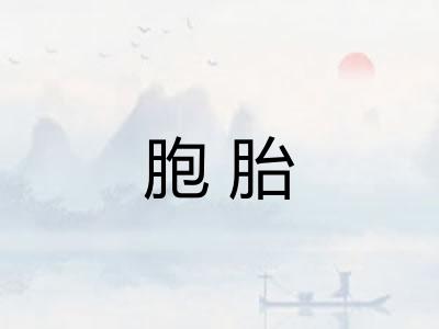 胞胎