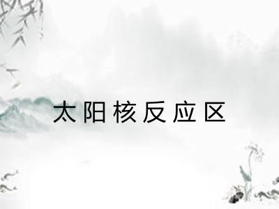 太阳核反应区