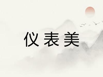 仪表美