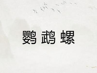 鹦鹉螺 鹦鹉螺