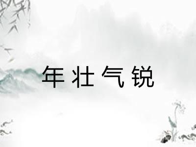 年壮气锐