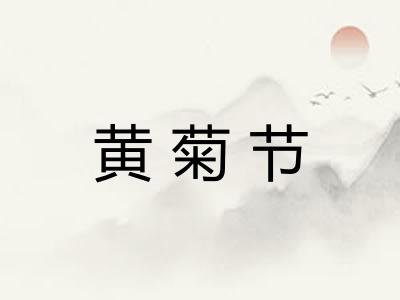 黄菊节