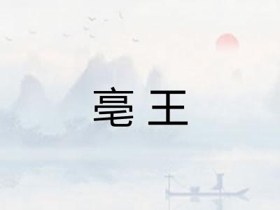 亳王