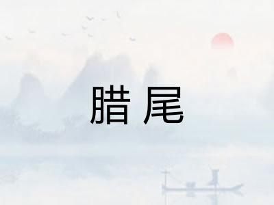 腊尾