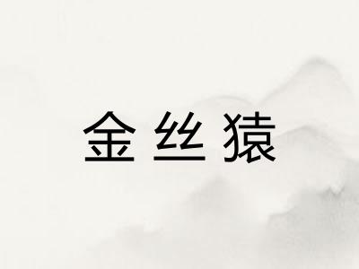 金丝猿