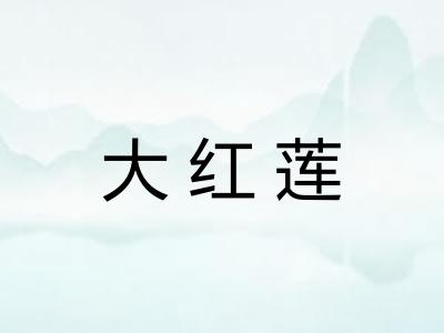 大红莲