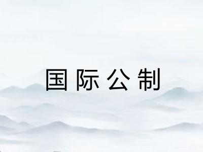 国际公制